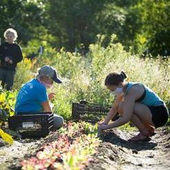 Dartmouth-Hitchcock Farmacy garden volunteers